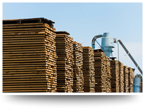 Learn more about the RJ Timber Trade